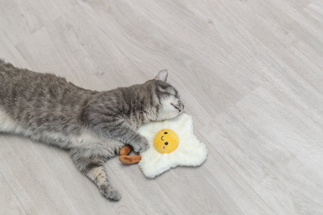 Graue Katze schläft auf hellem Holzboden neben einem weißen Plüschtier in Form eines Sterns.