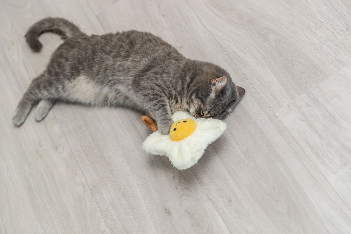 Graue Katze spielt auf hellem Holzboden mit einem Spielzeug in Form eines Spiegeleis.