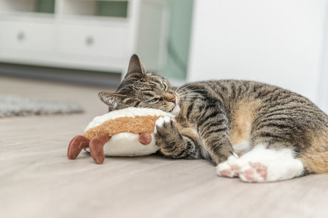 Eine getigerte Katze liegt auf einem Holzboden und kuschelt mit einem Spielzeug.