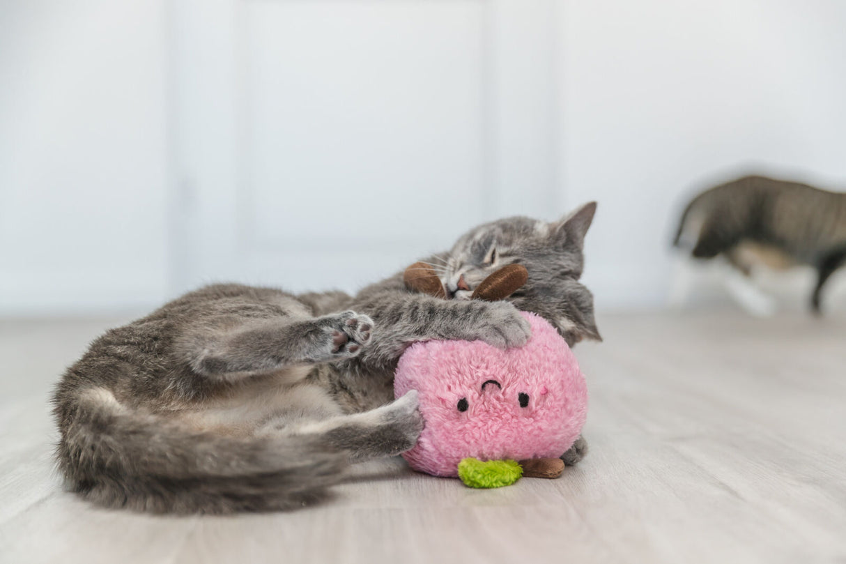 Eine graue Katze spielt mit einem rosa Plüschspielzeug auf einem hellen Boden.
