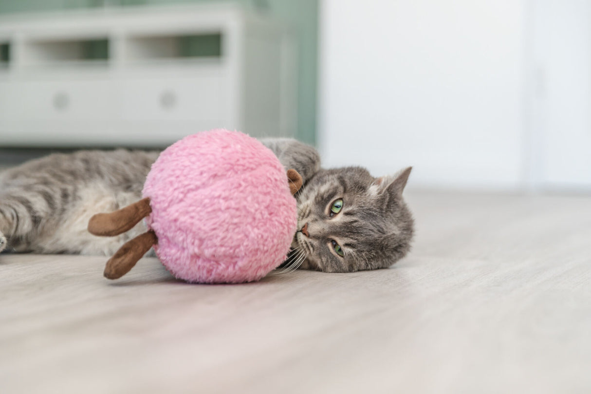 Graue Katze liegt am Boden und spielt mit einem rosa Plüschspielzeug.