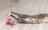 Graue Katze spielt mit rosa Flamingo-Spielzeug auf hellem Holzboden.