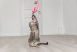 Eine Katze spielt mit einem hängenden rosa Flamingo-Spielzeug in einem hellen Raum.
