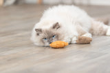 Beige Katze mit blauen Augen liegt auf Holzfußboden neben braunem Stoffspielzeug.