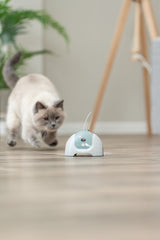 Eine Katze jagt ein automatisches Spielzeug auf einem Boden in einem Raum mit Pflanzen.