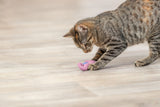 Getigerte Katze spielt auf hellem Holzboden mit einem kleinen rosa Spielzeug.