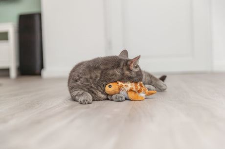 Graue Katze liegt auf dem Boden und kuschelt mit einem orangefarbenen Plüschspielzeug.