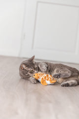 Graue Katze spielt auf Boden mit orange-weißem Plüschspielzeug.