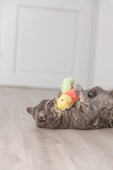 Grau getigerte Katze spielt mit buntem Stofftier auf hellem Holzboden.