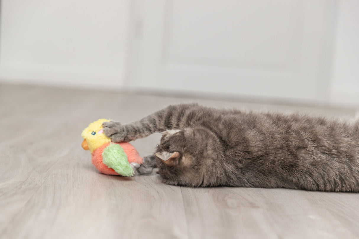 Graue Katze spielt auf Holzboden mit einem bunten Spielzeugvogel.