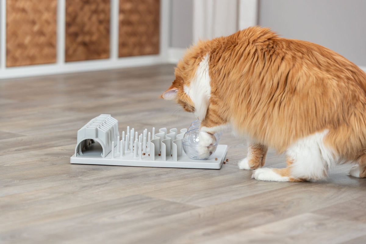 Eine rot-weiße Katze spielt mit einem Spielzeug auf einem Boden aus Holz, das aus einer weißen Platte mit unterschiedlichen Strukturen besteht.