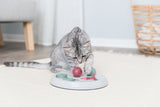 Graue Katze spielt mit einem Spielzeug auf einem hellen Teppich in einem Raum mit Holzboden und Korb im Hintergrund.
