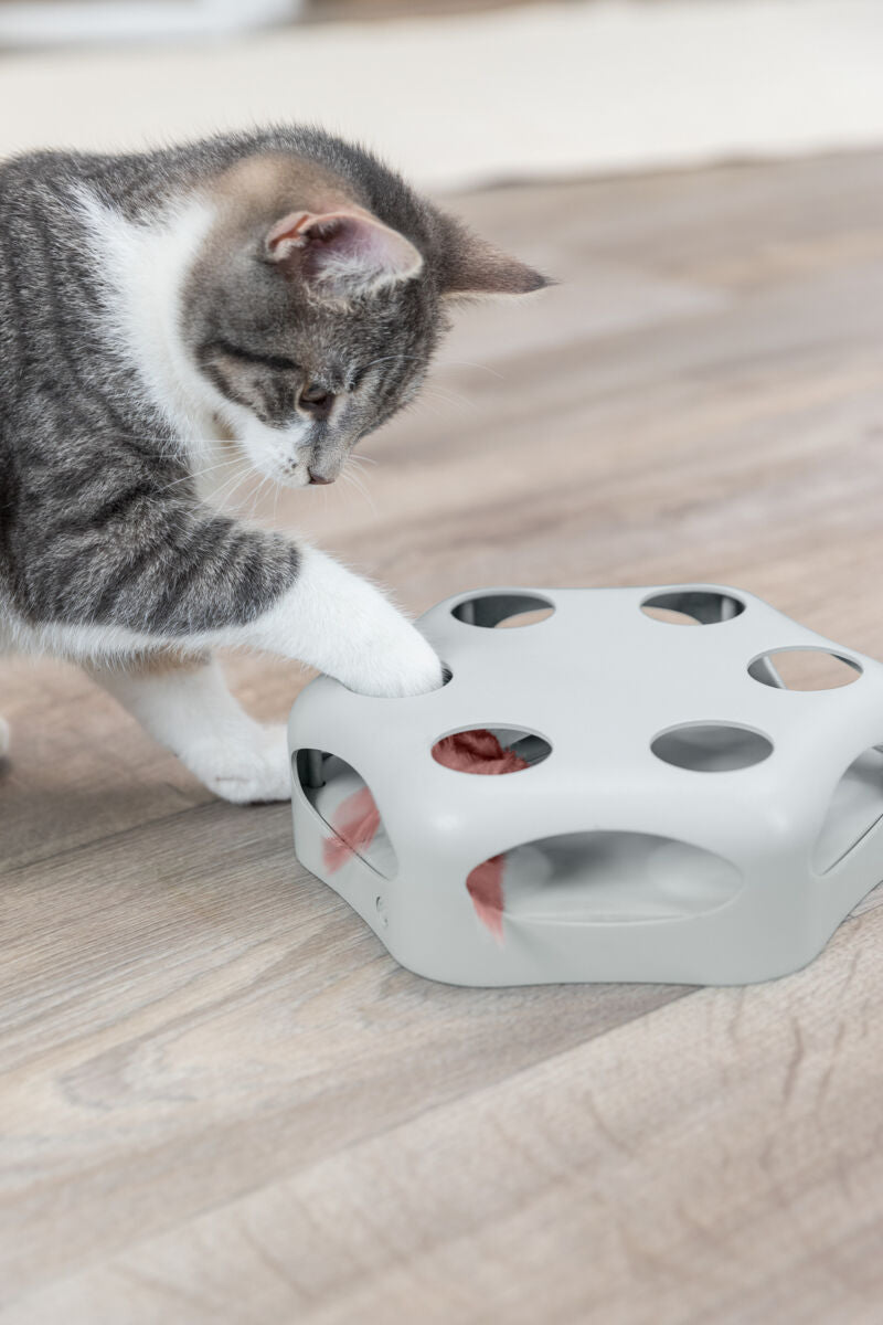 Eine graue Katze spielt mit einer grauen Spielzeugbox mit Löchern, auf einem Holzboden liegend.