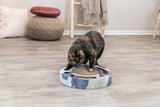 Eine Katze spielt mit einem runden, bunten Spielzeug auf einem Holzboden in einem hellen Raum.