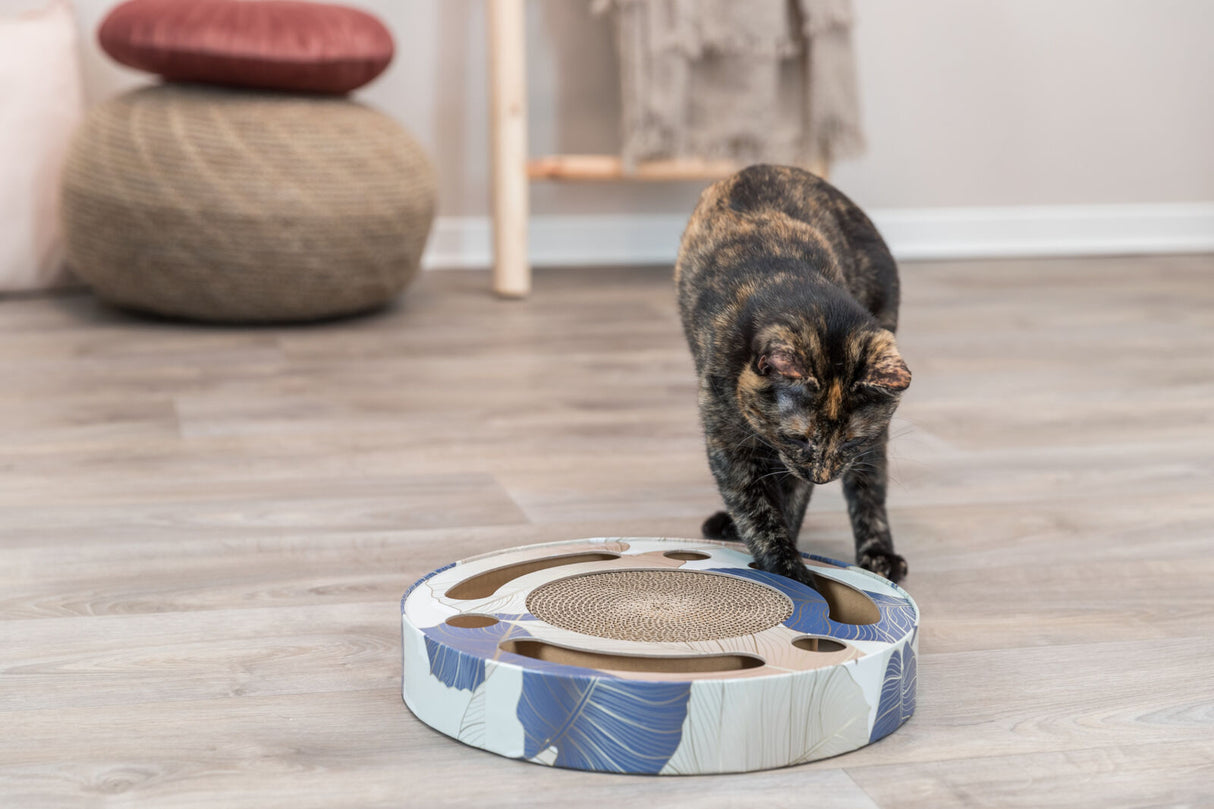Eine Katze inspiziert ein rundes, blau-gemustertes Spielzeug mit Löchern und einer Sisaloberfläche auf einem Holzboden.