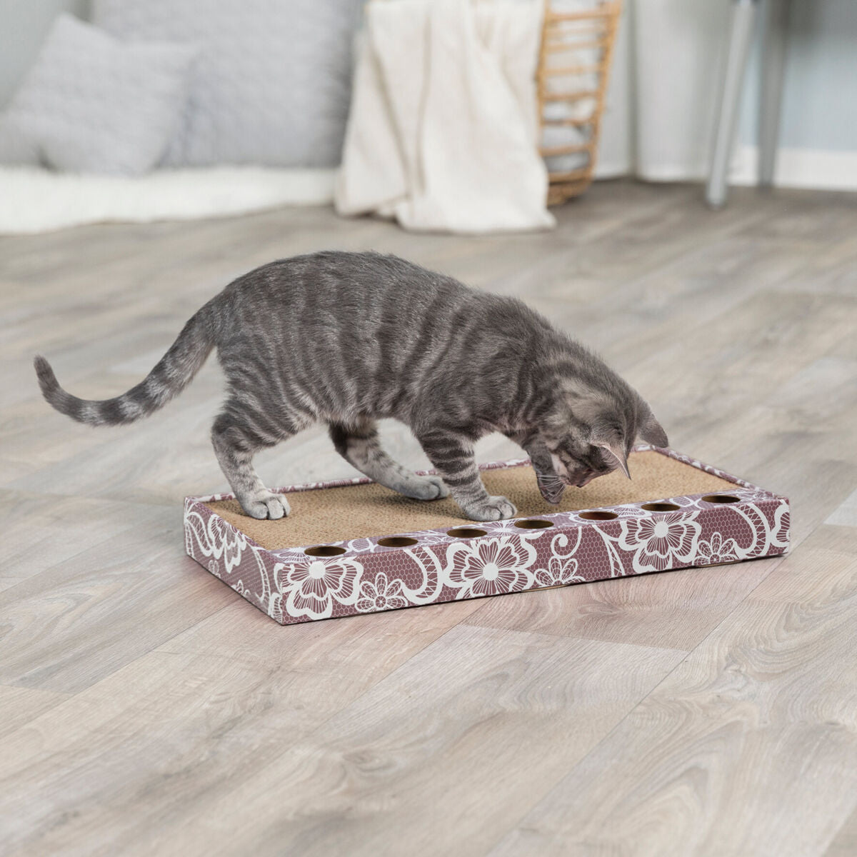 Eine graue Katze steht auf einem rechteckigen Kratzbrett mit Blumenmuster auf Holzfußboden.