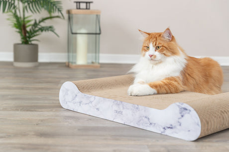 Eine braun-weiße Katze liegt entspannt auf einer Kratzmatte mit weiß-marmorierten Seiten auf einem Holzboden.