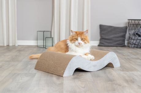 Eine getigerte Katze ruht auf einem wellenförmigen Kratzbrett aus Pappe auf einem Holzfußboden in einem hell eingerichteten Raum.