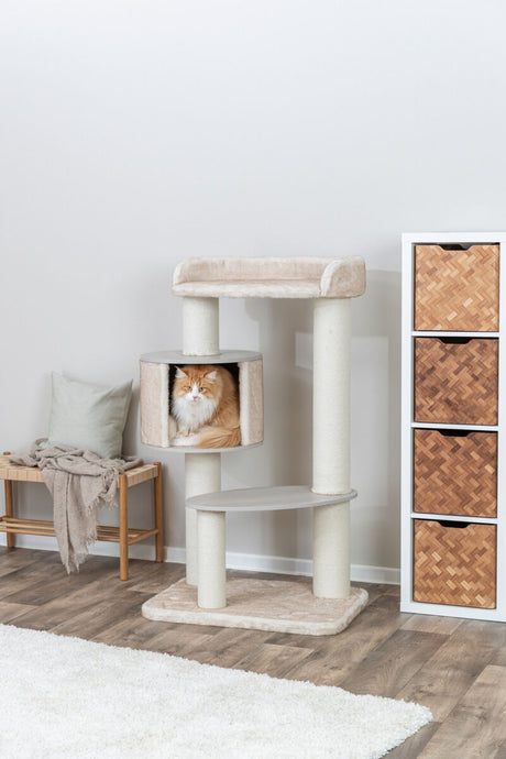 Katze sitzt in einer beigen Kratzbaumhöhle neben einem Holzhocker und einem Regal mit Körben.
