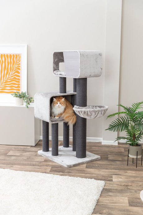 Orange-weiße Katze liegt in grauem Katzenkratzbaum mit mehreren Ebenen und Höhlen.