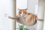 Eine rot-weiße Katze liegt in einer Hängematte an einem Kratzbaum.