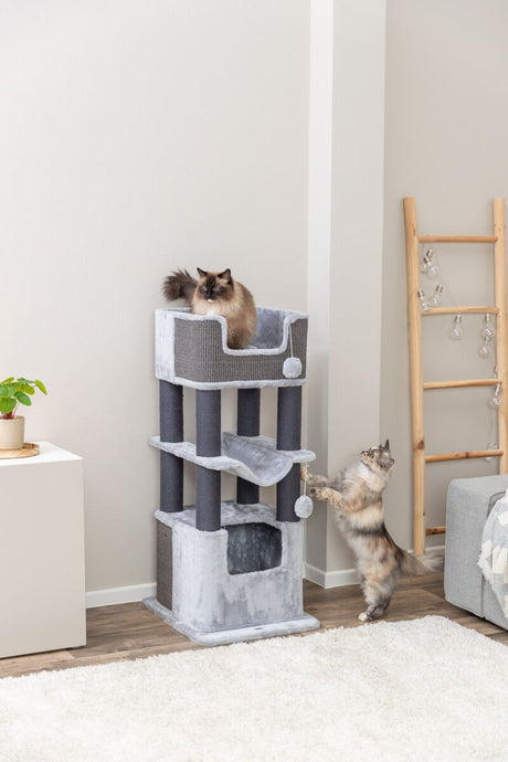 Zwei Katzen spielen auf einem grauen Kratzbaum in einem Wohnzimmer mit Holzboden.