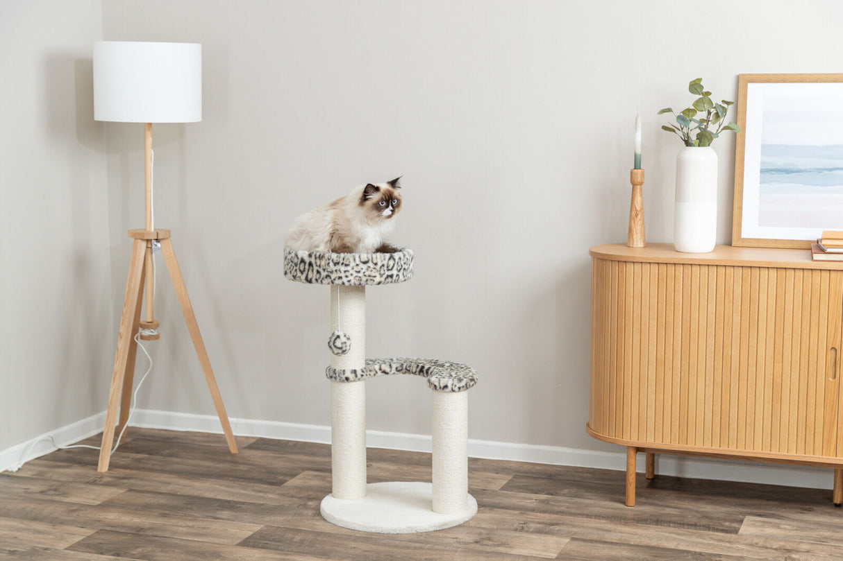 Eine Katze sitzt auf einem Kratzbaum mit Leopardenmuster neben einer Stehlampe im Raum.