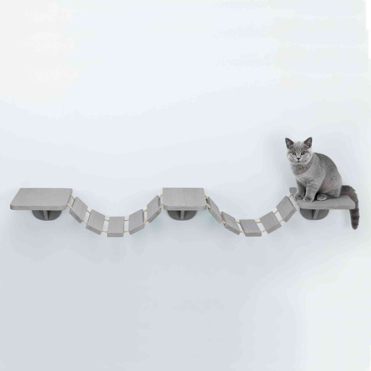 Graue Katze sitzt auf einer grauen Wandkonstruktion mit zwei Plattformen und einer Hängebrücke.