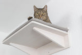 Eine Katze sitzt auf einem erhöhten, mit grauem Stoff gepolsterten Holzbrettelement an der Wand.