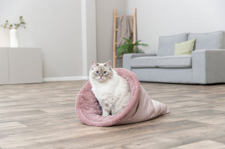 Eine Katze sitzt in einem rosafarbenen Kuschelsack in einem Wohnraum mit Holzfußboden und grauem Sofa.