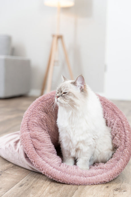Eine sitzende, flauschige Katze in einer rosa Plüschhöhle auf einem Holzboden im Wohnzimmer.
