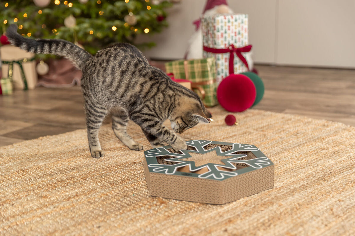 Getigerte Katze spielt mit einem Schneeflocken-Spielzeug auf einem Teppich vor einem Weihnachtsbaum.