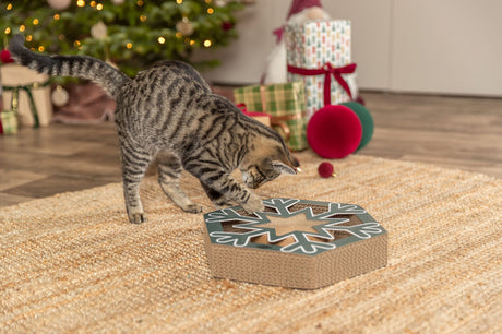 Getigerte Katze spielt mit einem Schneeflocken-Spielzeug auf einem Teppich vor einem Weihnachtsbaum.