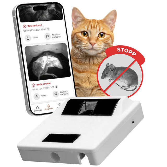 Smartphone mit Katzenüberwachungs-App, Katze im Hintergrund, Anti-Maus-Symbol, weiße elektronische Gerät auf der Vorderseite.