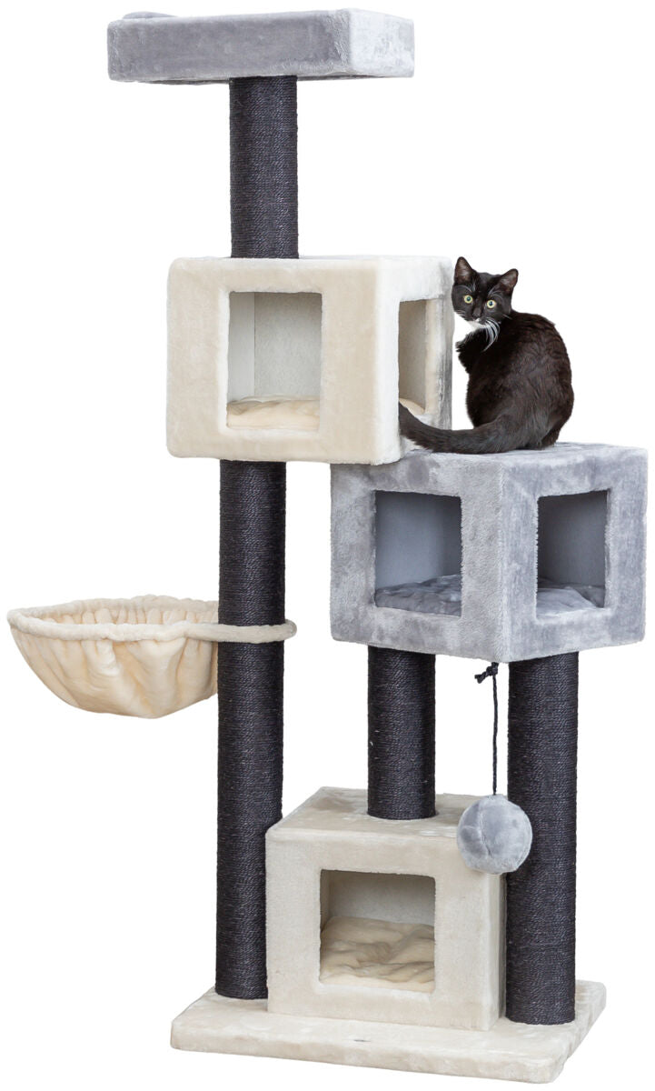 Kratzbaum mit beigen und grauen Elementen, mehreren Plattformen, Höhlen und Hängematte, schwarze Katze sitzt darauf.