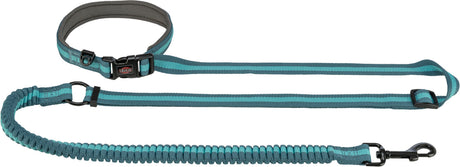 Zweifarbige, blau-graue Hundeleine mit elastischem Abschnitt, schwarzem Karabinerhaken und Klickverschluss.