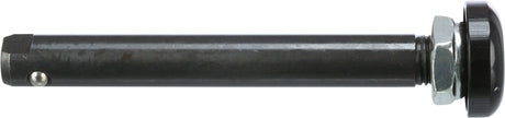 Schwarzer Metallstab mit sechseckiger Spitze, silbernem Bolzen und gerändeltem schwarzem Knopf am Ende.
