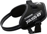 Schwarzes Julius-K9-Hundegeschirr mit reflektierenden Nähten, seitlichem Logo und verstellbarem Gurt.