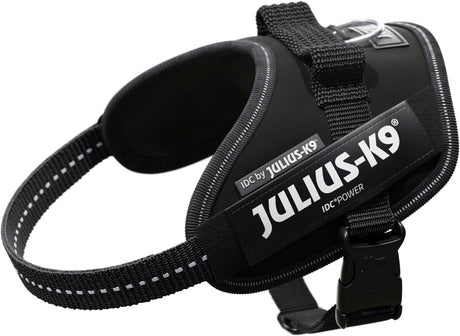 Schwarzes Julius-K9-Hundegeschirr mit reflektierenden Nähten, seitlichem Logo und verstellbarem Gurt.