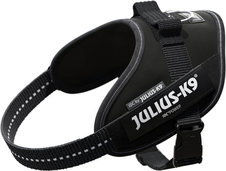 Schwarzes Hundegeschirr mit verstellbaren Gurten und sichtbarem "Julius-K9" Logo in weißer Schrift.
