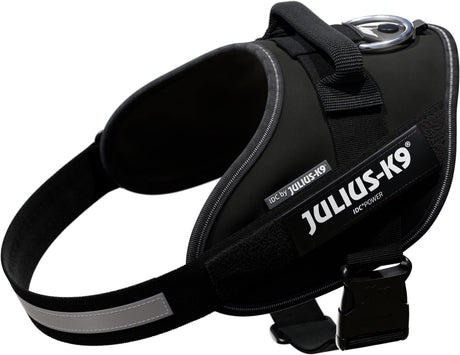 Hundegeschirr in Schwarz mit einem reflektierenden Streifen und einem Schild mit der Aufschrift "JULIUS-K9".