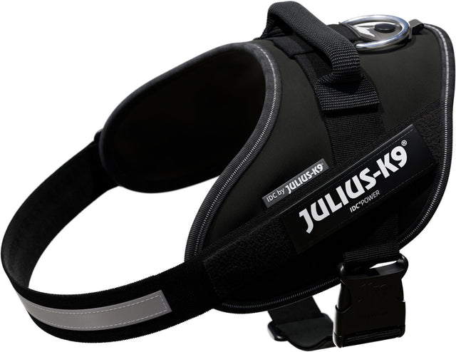Hundegeschirr in Schwarz mit einem reflektierenden Streifen und einem Schild mit der Aufschrift "JULIUS-K9".