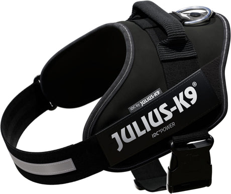 Schwarzes Hundegeschirr mit dem Aufdruck "Julius-K9" und silberfarbenem D-Ring.