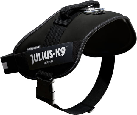 Schwarzes Hundegeschirr mit der Aufschrift "JULIUS-K9" und verstellbarem Riemen, Kunststoffschnalle und Griff.