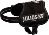 Schwarzes Hundegeschirr mit reflektierendem Streifen und großer Schrift "Julius-K9" auf der Seite.