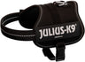 Schwarzes Hundegeschirr mit reflektierendem Streifen und großer Schrift "Julius-K9" auf der Seite.