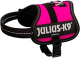 Pinkes Hundegeschirr mit schwarzem Rand und der Aufschrift "Julius-K9" auf der Seite.