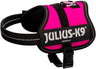 Pinkes Hundegeschirr mit schwarzem Rand und der Aufschrift "Julius-K9" auf der Seite.