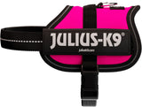 Schwarzes Hundegeschirr mit rosa Akzent und großem Schriftzug "Julius-K9" sowie reflektierenden Streifen.