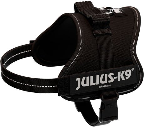 Schwarzes Hundegeschirr mit sichtbarem JULIUS-K9-Logo und reflektierenden Nähten.